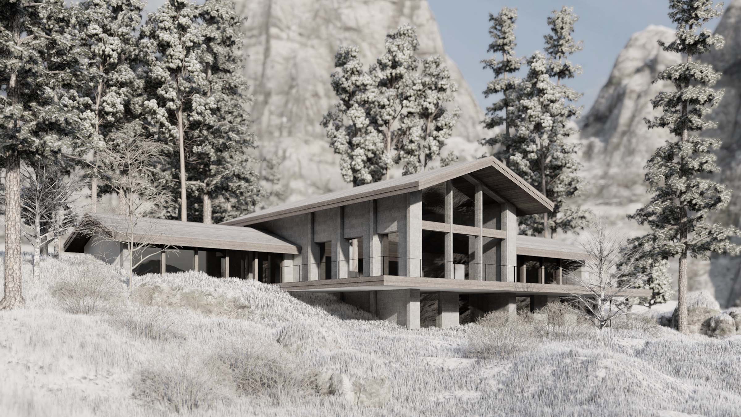 contemporary chalet architecture